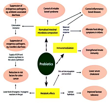 probiotics-5